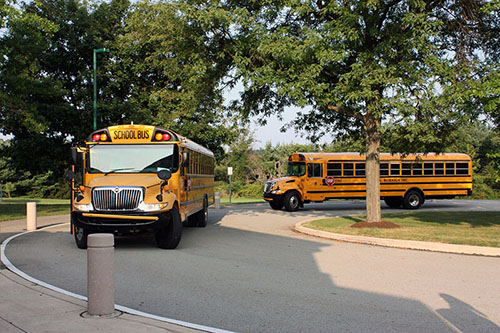 School buses on road